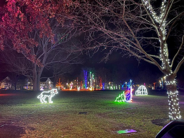 Load image into Gallery viewer, 5' Penguin with Tree Ground Mount Christmas Decoration