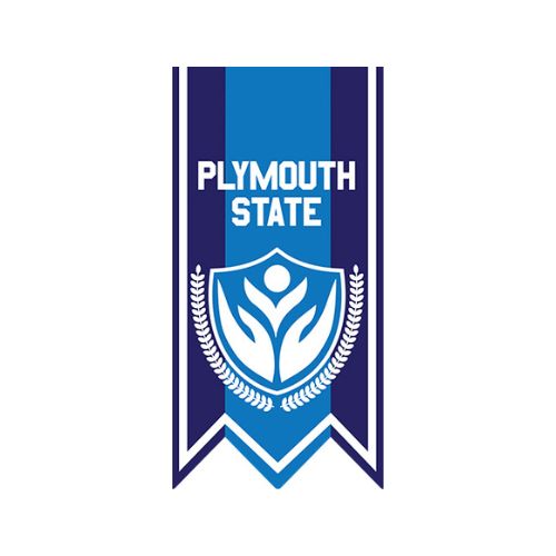 Load image into Gallery viewer, Gonfalons - Double Fishtail Shaped