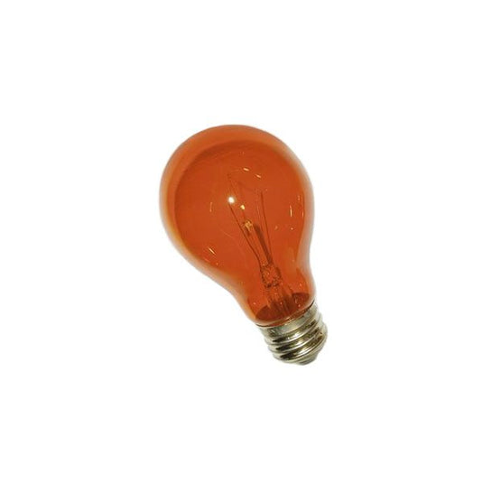 Orange-Gold A19 Transparent Incandescent Appliance Bulb