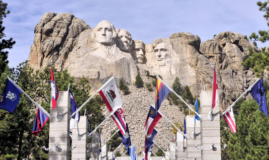 State Flags for Government & Business